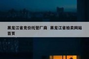 黑龙江省竞价托管厂商  黑龙江省拍卖网站首页