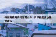 株洲百度竞价托管是什么  云浮百度竞价托管团队