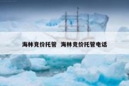 海林竞价托管  海林竞价托管电话