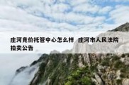 庄河竞价托管中心怎么样  庄河市人民法院拍卖公告
