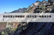 竞价托管公司哪里好（竞价托管一般要多少钱）