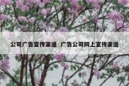 公司广告宣传渠道  广告公司网上宣传渠道