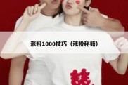 涨粉1000技巧（涨粉秘籍）
