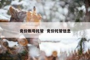 竞价账号托管  竞价托管信息