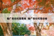 推广竞价托管费用  推广竞价托管价格