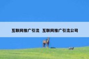 互联网推广引流  互联网推广引流公司