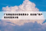 广东网站竞价托管收费多少  竞价推广账户竞价托管多少钱