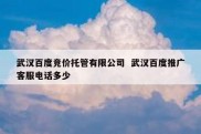 武汉百度竞价托管有限公司  武汉百度推广客服电话多少