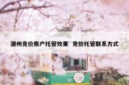 潮州竞价账户托管效果  竞价托管联系方式