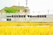 sem竞价托管托管  专业sem竞价托管报价