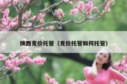 陕西竞价托管（竞价托管如何托管）