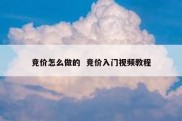 竞价怎么做的  竞价入门视频教程