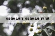 抖音怎样上热门  抖音怎样上热门不花钱