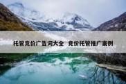 托管竞价广告词大全  竞价托管推广案例