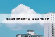 深汕区快捷的竞价托管  深汕合作区土拍