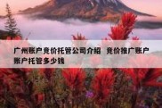 广州账户竞价托管公司介绍  竞价推广账户账户托管多少钱