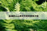 临潼区sem竞价托管的简单介绍