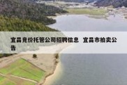 宜昌竞价托管公司招聘信息  宜昌市拍卖公告