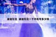 渠道引流  渠道引流一个手机号多少钱