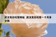 武汉竞价托管网站  武汉竞价托管一个月多少钱