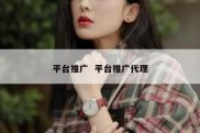平台推广  平台推广代理