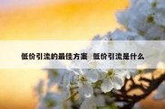 低价引流的最佳方案  低价引流是什么