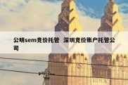 公明sem竞价托管  深圳竞价账户托管公司