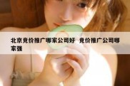 北京竞价推广哪家公司好  竞价推广公司哪家强