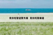 竞价托管运营方案  竞价托管渠道