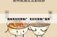 洛阳竞价托管推广  竞价托管推广服务