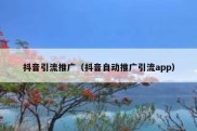 抖音引流推广（抖音自动推广引流app）