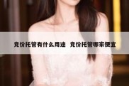 竞价托管有什么用途  竞价托管哪家便宜