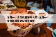 龙岗sem竞价托管策划公司  龙岗sem竞价托管策划公司有哪些