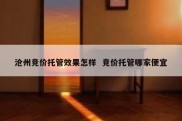 沧州竞价托管效果怎样  竞价托管哪家便宜