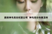 西安神马竞价托管公司  神马竞价效果怎样