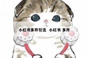 小红书多开引流  小红书 多开