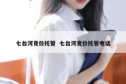 七台河竞价托管  七台河竞价托管电话