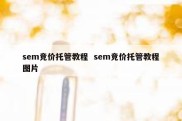 sem竞价托管教程  sem竞价托管教程图片