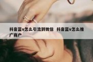 抖音蓝v怎么引流到微信  抖音蓝v怎么推广商户