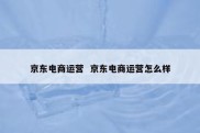 京东电商运营  京东电商运营怎么样