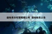 益阳竞价托管网络公司  益阳拍卖公告