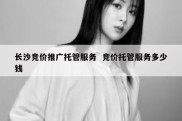 长沙竞价推广托管服务  竞价托管服务多少钱