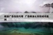 精准广告投放代理  广告精准化投放成功案例