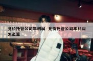 竞价托管公司年利润  竞价托管公司年利润怎么算