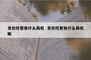 竞价托管有什么商机  竞价托管有什么商机嘛