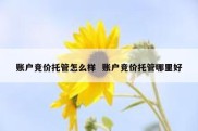 账户竞价托管怎么样  账户竞价托管哪里好