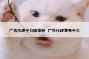 广告代理平台哪家好  广告代理发布平台