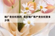 推广竞价托管的  竞价推广账户竞价托管多少钱