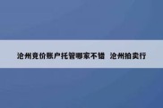 沧州竞价账户托管哪家不错  沧州拍卖行
