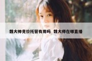 魏大帅竞价托管有用吗  魏大师在哪直播